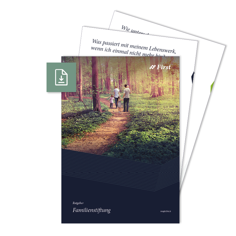 Folder_Familienstiftungen_Download-Symbol