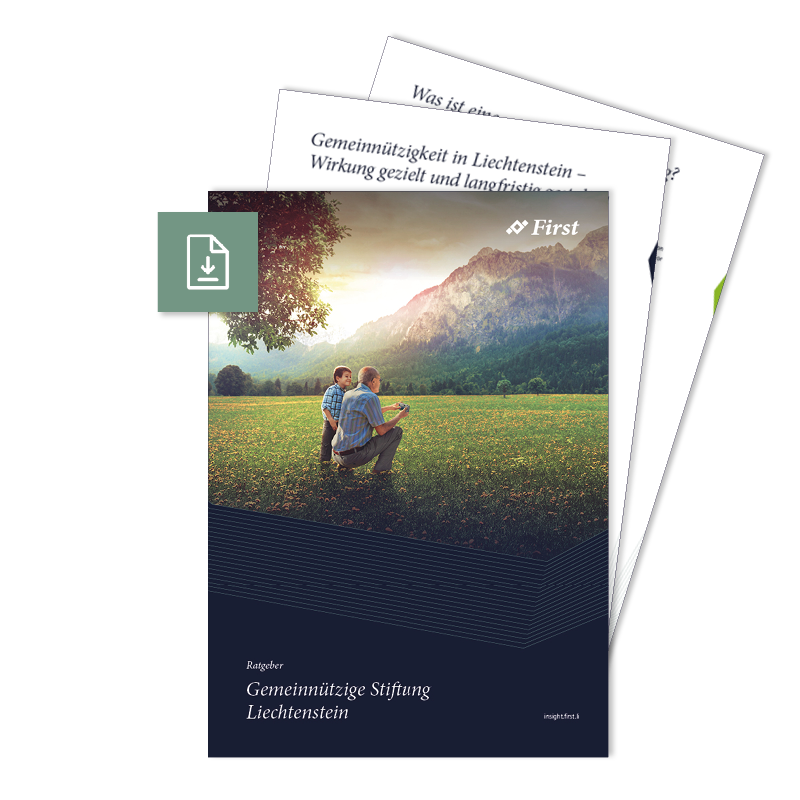 Ratgeber Gemeinnützige Stiftungen