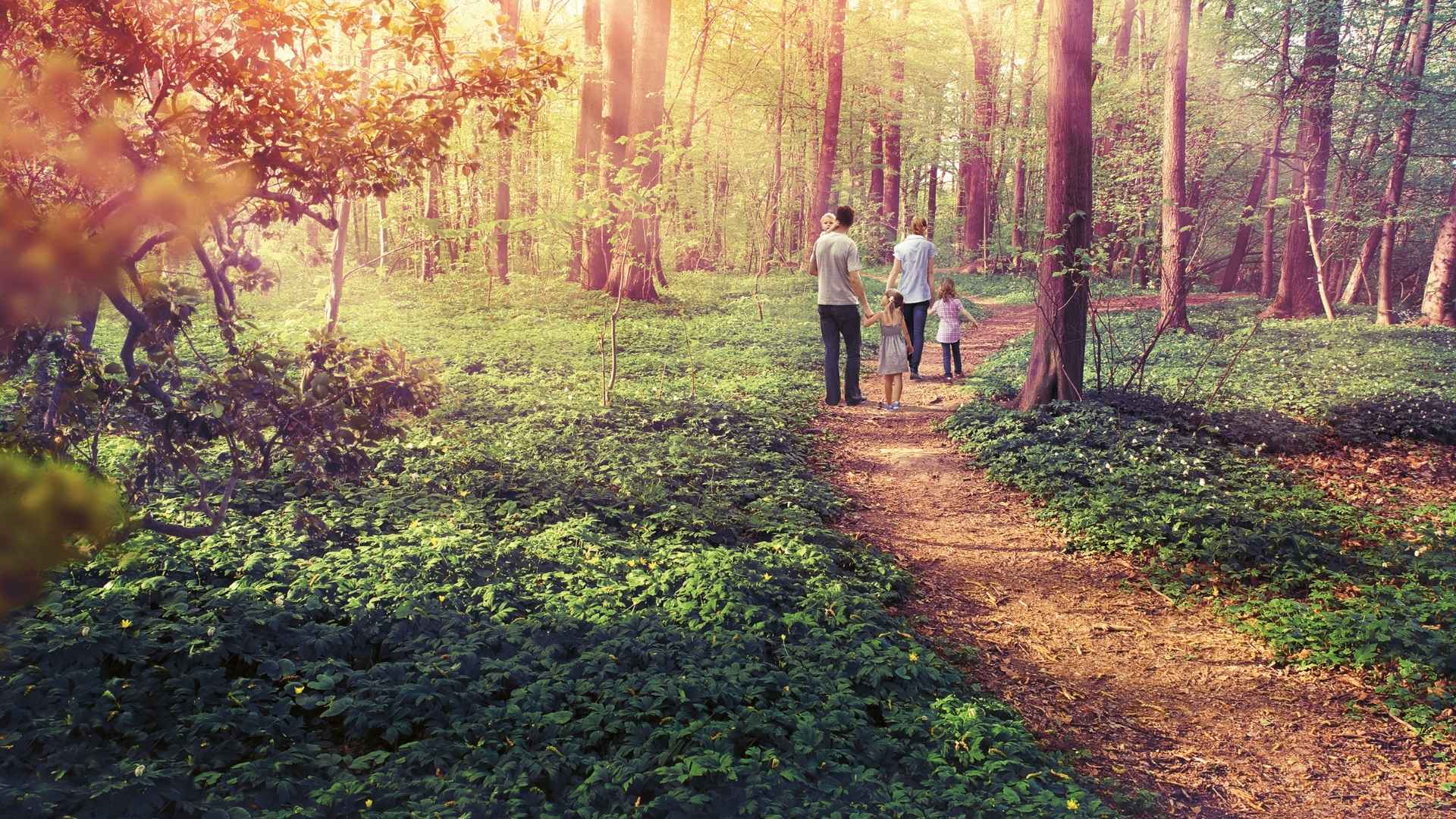 Ratgeber: Liechtensteiner Famillienstiftung